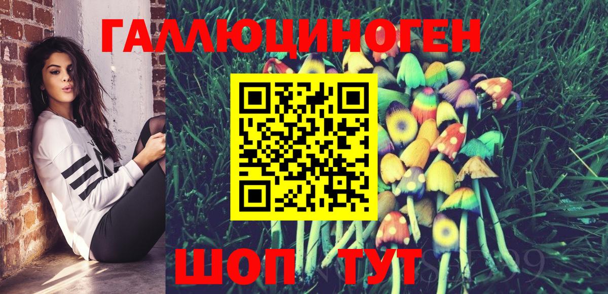 Галлюциногенные грибы GOLDEN TEACHER  Вход с VPN  Елизово 
