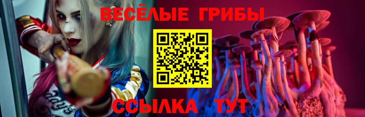 Псилоцибиновые грибы Psilocybine cubensis Елизово